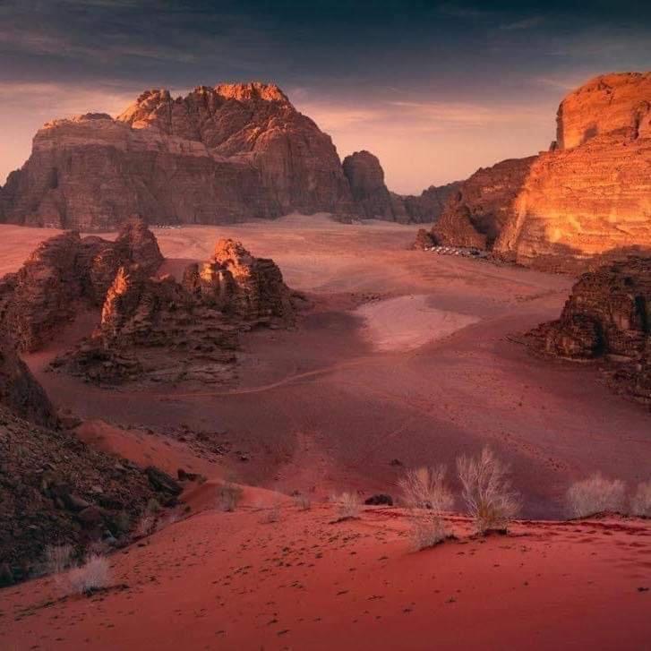 Wadi Rum-Bedouin Tents And Jeep Tours エクステリア 写真