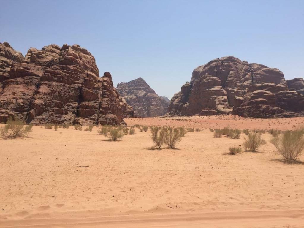 Wadi Rum-Bedouin Tents And Jeep Tours エクステリア 写真
