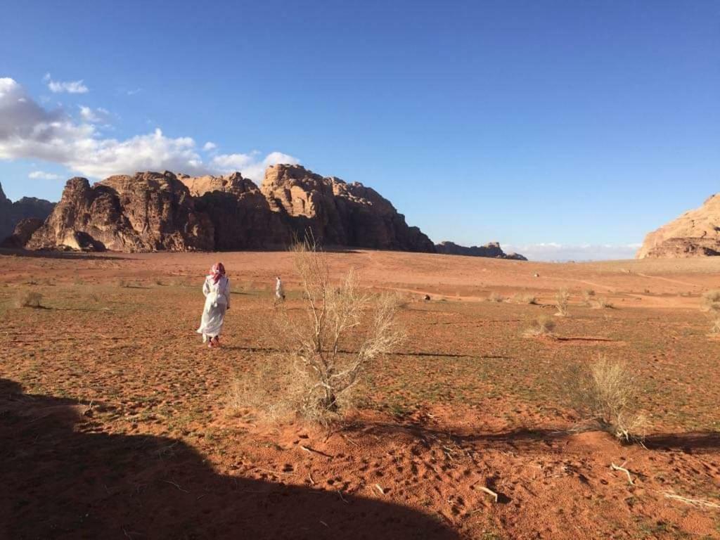 Wadi Rum-Bedouin Tents And Jeep Tours エクステリア 写真