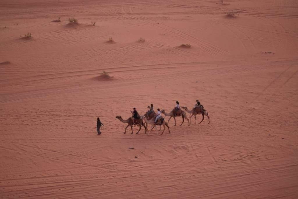 Wadi Rum-Bedouin Tents And Jeep Tours エクステリア 写真