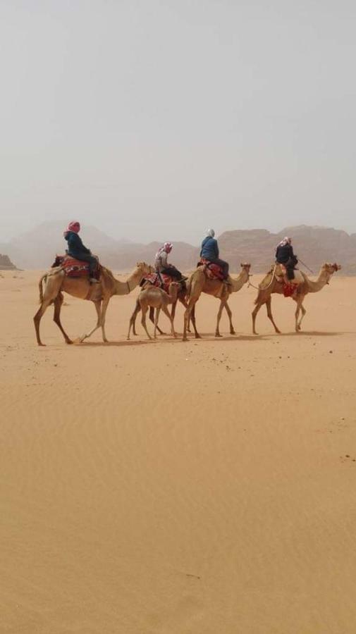 Wadi Rum-Bedouin Tents And Jeep Tours エクステリア 写真